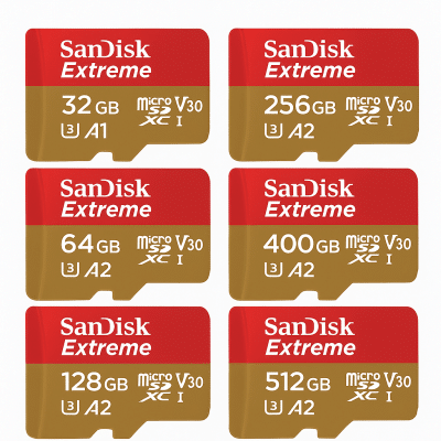 Sandisk High-Speed Micro SD Card