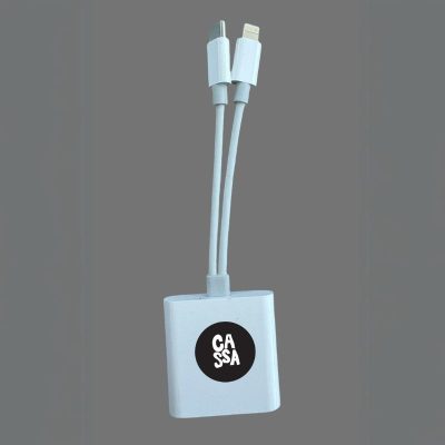 Cassa-2-in-1-SD-card-reader